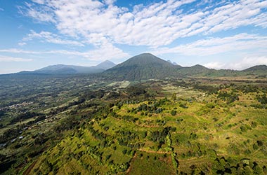 Rwanda - Volcano National Park
